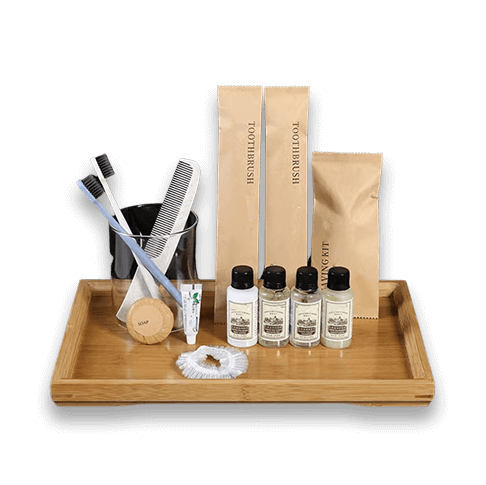 Hotel Amenities