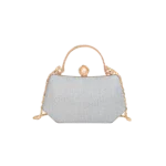 New Women's Handbag for Evening Banquets - High-Quality Handbag - Image 4